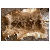 Deer Hide