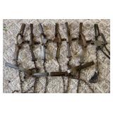 Newhouse No. 3 Leg Traps