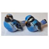 Goebel Bluebirds
