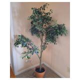 Artificial Ficus Tree