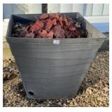 Square Plastic Planter