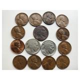 Buffalo Nickels (3)  Wheat Pennies (12)