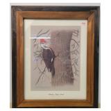 Shades State Park Print,  Woodpecker 1985
