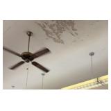 Lights and Ceiling Fans