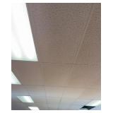 Dropped Ceiling, Tiles, Lights and Electrical