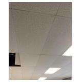 Drop Ceiling,Tiles, Lighting