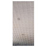 Auditorium Tin Ceiling