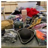 Halloween Costumes and More