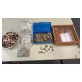 Paleozoic Fossil Collection/Rocks