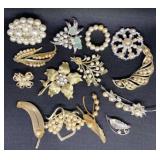 Pearl-like accented Brooches