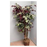 6ft Silk Ficus Plant