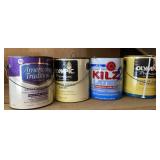Latex Paint