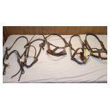 Leather Halters