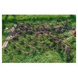 Pasture/Chain Drag