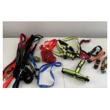 Assorted dog collars, leashes