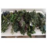 Assorted vines and leaves