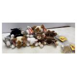 Ty Beanie Baby Felines & Tag Bags