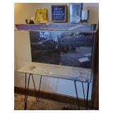 Acrylic Sea Clear Aquarium, stand & supplies