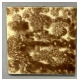 Pottery tile