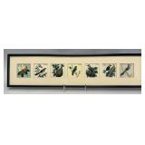 Framed print of 7 birds