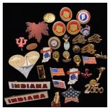 Elks and other pins