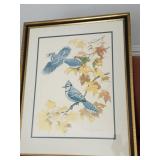 The Blue Jay print by Albert E. Gilbert