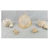 Sea Shell Decorations