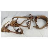 Climbing Spikes & Belts