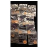 1980-1988 Suspected Error Lincoln Cents
