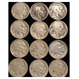 (12) Buffalo Nickels