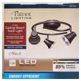 (WE) Patriot Lighting 3-Light Ceiling Mount