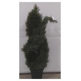 (ZZ) 36" UV Resistant Plastic Double Pond Cypress