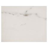 (WE) Florida Tile Michael Angelo Calacatta 12x24