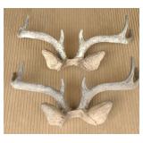 Steel 4-Point Antler/Ear Decor 22"x12"Bidding