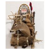 Hunters Pack Whitetail Deer Snow Show Taxidermy Di