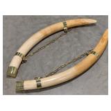 SUPER RARE Pre Ban Elephant Tusks Taxidermy  INDIA