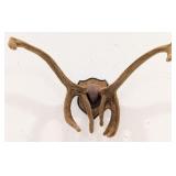 Felt Covered Caribou Antler Mount on Plaque