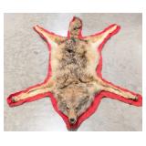 Trapper Joe Marcinov Brush Wolf Pet Rug Taxidermy