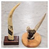 Carved Antlers on Plaque Displays
