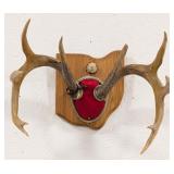 Trophy 11-Point Whitetail Deer Antler Mount on Pla