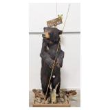 Fishing Black Bear Full Body Taxidermy Mount on Ha