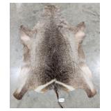 Tanned African Waterbuck Taxidermy Hide w/ Tail