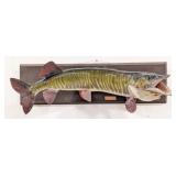 42in Fiberglass Tiger Musky on Barn Wood Taxidermy
