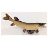 Northern Pike Full Body Taxidermy Wall Mount on Ha