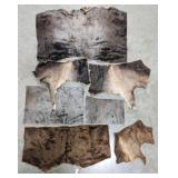 Tanned African Wildebeest Taxidermy Hide Sections