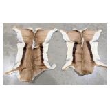 (2) Tanned African Springbok Hides