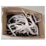 25lbs of Dried Antler Sheds