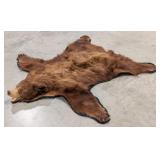 6ft Brown Bear Pelt Rug on Mat Taxidermy
