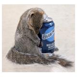 Drunk Grey Squirrel Full Body Taxidermy Mount