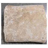 African Giraffe Salt Dried Hide